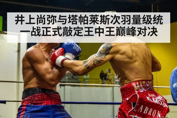 boxing fight action